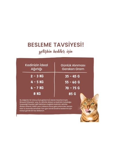 Sanabelle Indoor Gine Tavuğu Ve Yaban Mersinli Yetişkin Kuru Kedi Maması 8 Kg