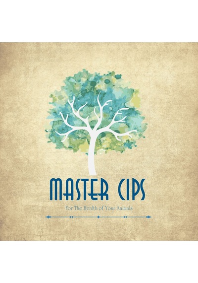 Master Cips Reçineli Çam Cipsi 5 KG Çuval 25 L