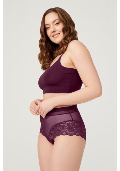 Cottonhill Dantel Detaylı Transparan Büyük Beden Bikini Külot 3'lü Paket-2 Çok Renkli 2