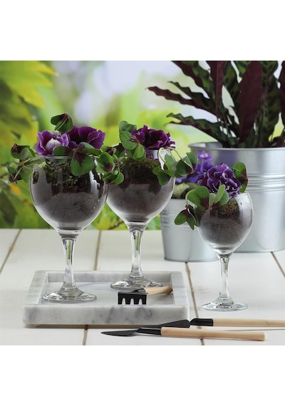 Misket 6'li Goblet Diğer