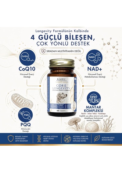 Core Longevity Köpek, Koenzim Q10, Nad+, Pqq, Mantar Kompleksi, 60 Tablet