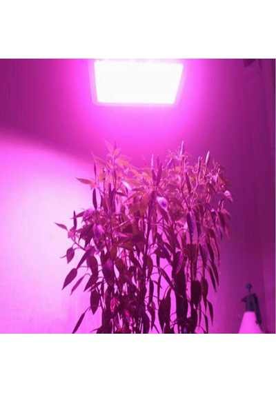 Tam Spektrum 380 - 840Nm UV Led Dob Topraksız Tarım Bitki Büyütme 1