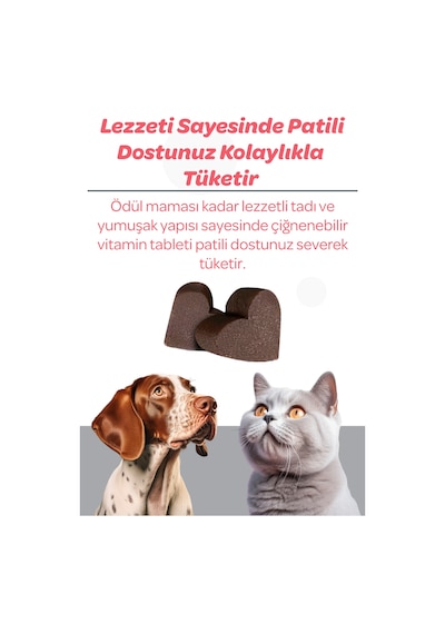 Vet's Plus Senior Çiğnenebilir Tablet 60'lı Kedi ve Köpekler İçin Inulin ve Glukozamin Desteği