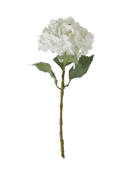 Concept Single Ortanca Çiçek Beyaz 54cm