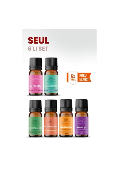 Seul 6 Lı Oda Kokusu Seti Buhurdanlık Yağı, Difüzör Esansı Ve Esansiyel Uçucu Yağ 10ml X 6 Karışık