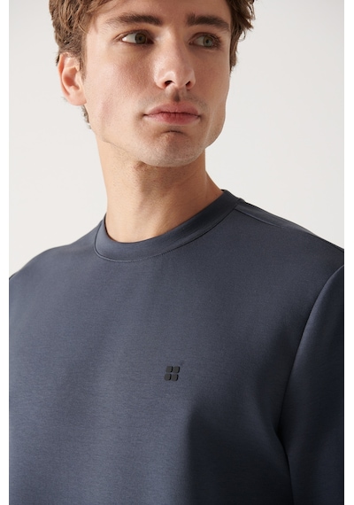 Avva Erkek Antrasit Sweatshirt Bisiklet Yaka Esnek Yumuşak Doku İnterlok Kumaş Standart Fit Normal Kesim B001100 Antrasit