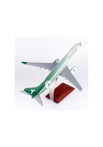 Thy002 1/100 Ölçek, Thy Giresun Spor Logolu B737-800 Yolcu Uçağı, Sergilemeye Hazır Ahşap Standlı Model-56256
