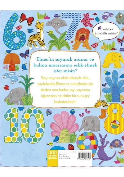 Elmer Ara Bul Sayılar 9786256324398