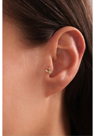 14 Ayar Altın Sincap Tragus Küpe