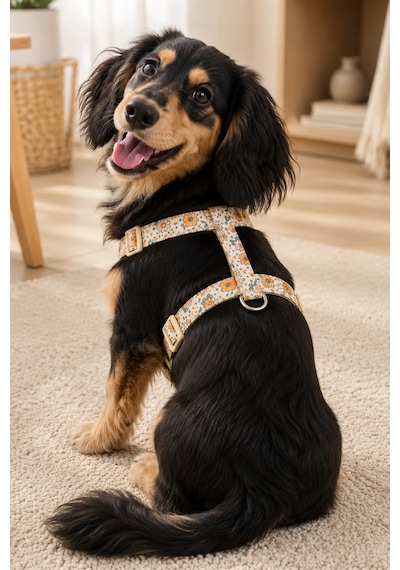 Köpekler İçin Dayanıklı Ve Güvenli, Desenli H Tipi Göğüs Tasması 20mm Krem