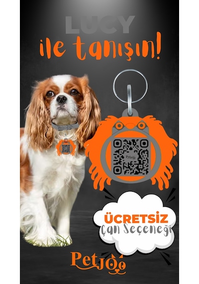 Petjoo 11.Lucy Turuncu-Gri Qr'lı Köpek Künyesi