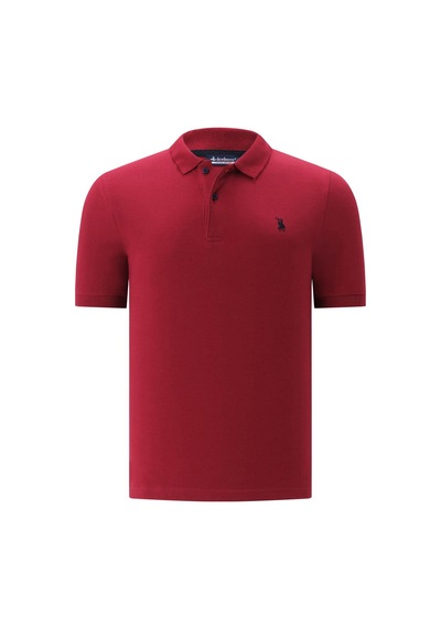 İkili Set T8561 Dewberry Erkek Tshırt-bordo-lacivert