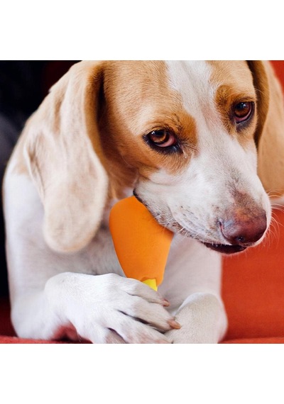 Orret Home But Şeklinde Sesli Köpek Çiğneme Oyuncağı, Dayanıklı V