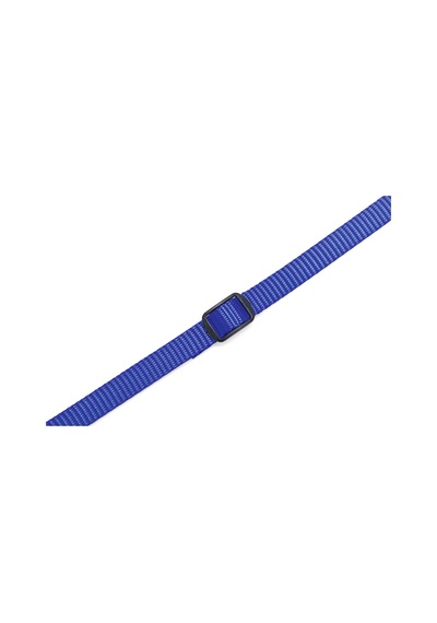 Beeztees Yavru Köpek Boyun Tasması, Çeşitli Renklerde, 22-35cm, 10mm Çok Renkli