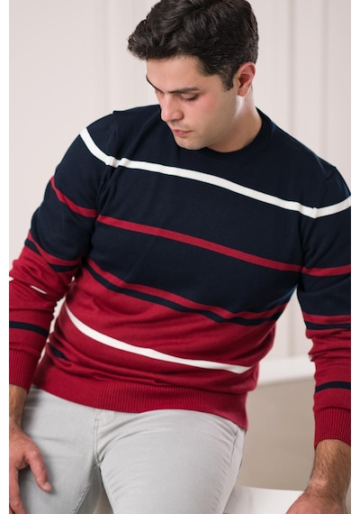 Dorss Slimfit Bisiklet Yaka Çizgili Pamuklu Erkek Spor Kazak 001