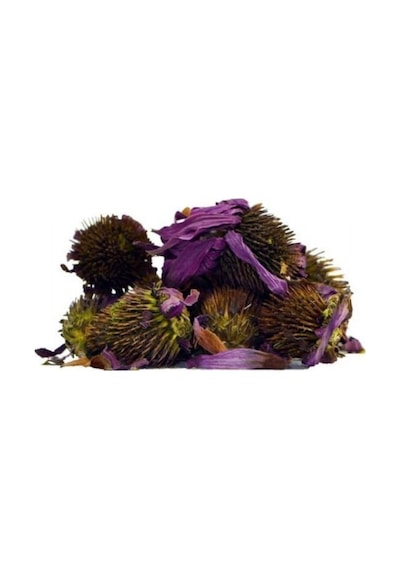 Bitki Diyarı Ekinezya Çiçek 50gr