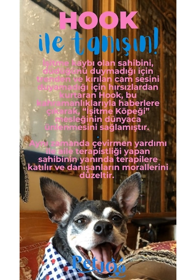 Petjoo 7.Hook Mavi-Pembe Qr'lı Köpek Künyesi