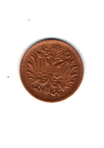 Avusturya Macaristan 1 Heller 1895 Mp2053