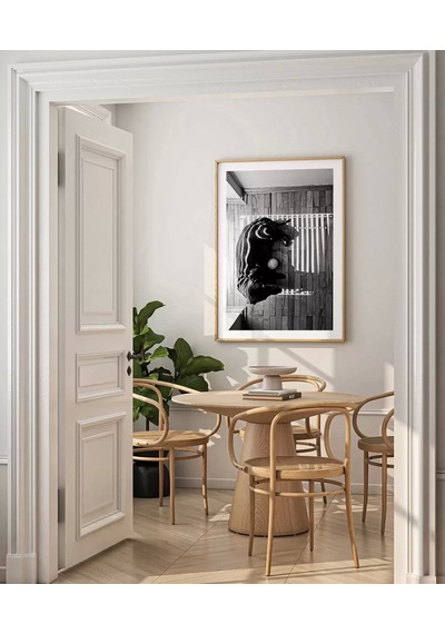 Çerçevesiz Poster Gölge Oyunları