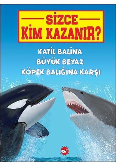 Sizce Kim Kazanır? Katil Balina Büyük Beyaz Köpek Balığına Karşı