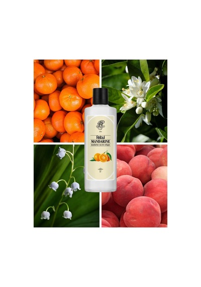 Rebul 250ml Mandarine Kolonya Cam Şişe 6 Lı