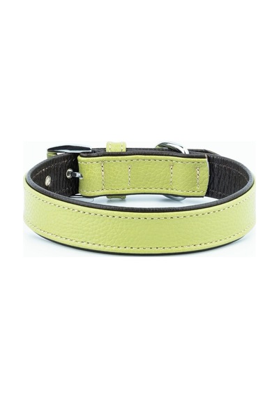 Canini Collar Hakiki Flotter Deri Köpek Tasması, Çift Katlı Deri, Ultra Dayanıklı Tasma Yeşil-kahverengi, Xl Çok Renkli Canini Collar Hakiki Flotter Deri Köpek Tasması, Çift Katlı Deri, Ultra Dayanıklı Tasma Yeşil-kahverengi, Xl Çok Renkli