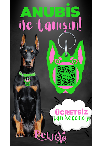 Petjoo 30.Anubis Pembe-Yeşil Qr'lı Köpek Künyesi