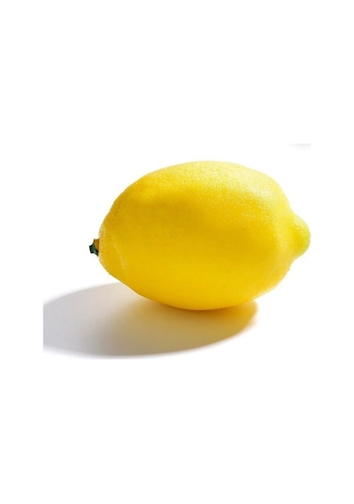 Rüzgar Çiçekcilik Limon Sarı