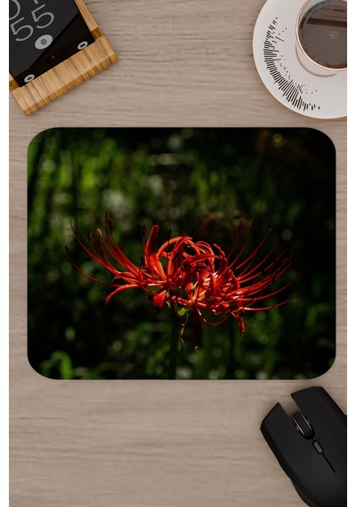 Higanbana Kaymaz Dikişli Kauçuk Oyuncu Mousepad V1 - 22x18 Gaming Mouse Pad Fare Altlığı