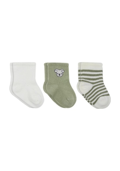 Erturkstore Koala Boy 3'lü Penye Soket Çorap 10133 Ekru Çok Renkli