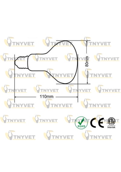 Tnyvet 100 Watt / Gün Işığı Güneş Lambası Isıtıcı Lamb