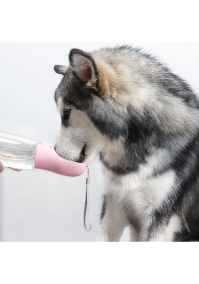 Evcil Hayvanlar İçin 350 Ml Taşınabilir Su Seyahat Suluğu Oval Uç Ergonomik Tasarım, Tek Tuş Su Kontrolü, Su Sızdırmaz Kilit Sistemi, Köpek Ve Kedi İçin Pratik Kullanım