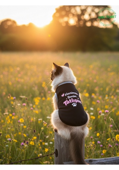 Siyah Hanimiş Benim Tatlışım Baskılı Kedi Ve Köpek Kıyafeti Tişörtü Elbisesi Medium/m/beden 2