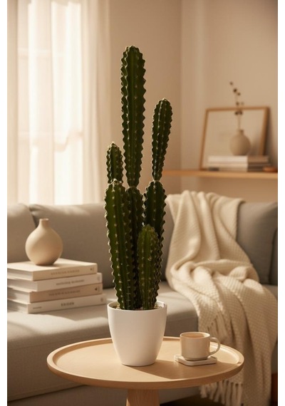 Yapay Kaktüs Ağacı Sütun Kaktüsü Cereus Peruvianus - Beyaz Saksıda Yapay Bitki 70 20cm Yeşil