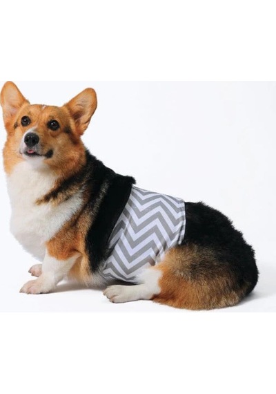 M-pets Erkek Köpekler İçin Yıkanabilir Külot L