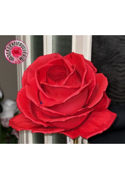 50cm 50cm Eva Dev Güller 20mm Giriş 18cm Glop Organizasyon Ürünü