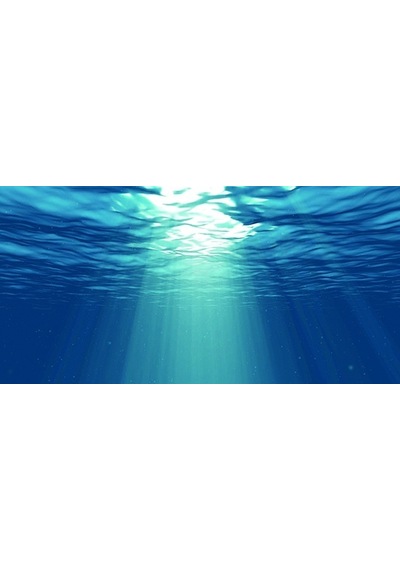 Kanki Pet 105 Cm Akvaryum Arka Fon Yapıştırma 105x52 Cm Kp1055229