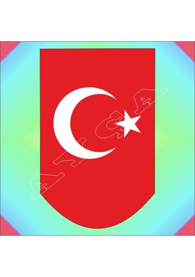 Ay Yildizli Şarjör Altliği N11.184 Çok Renkli