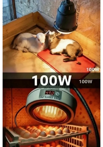 100w Kızılötesi İnfrared Isıtıcılı Hayvan Isıtma Ve Kuluçka Lambası Kırmızı Işık E27 Kalın Duy