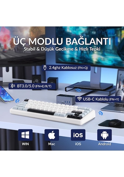 Aula F65 Reaper Switch Mekanik Rgb Tkl Makrolu Hot Swap Kablosuz Klavye Buz Mavisi