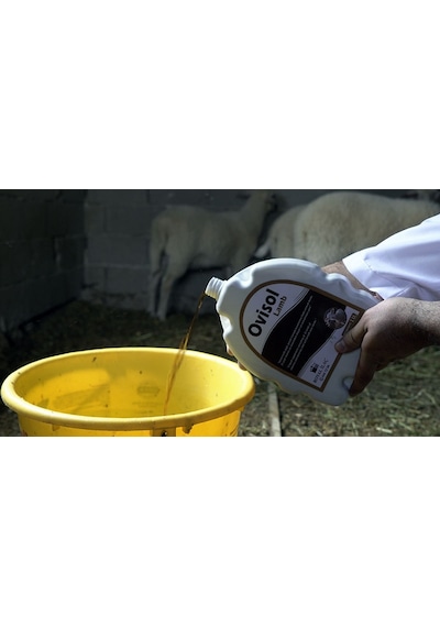 Royal Ovisol Lamb 1 Litre
