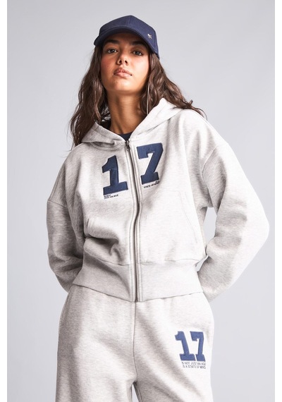 Defacto Fıtted Kapüşonlu Kalın Kumaş Fermuarlı İşlemeli Sweatshirt Hırka H4218ax26wngr110 Gri-gr110