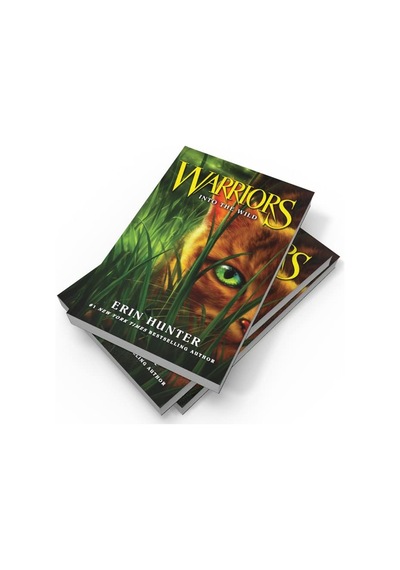 Into The Wild: Book 1
