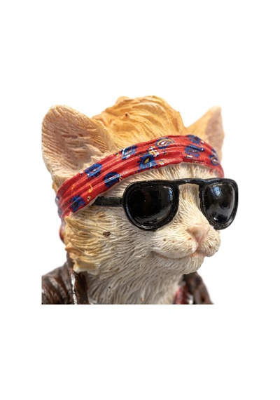 Motosikletli Minyatür Asi Kedi Biblosu Biker Cat