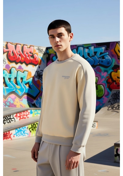 Benerly Erkek Bisiklet Yaka Standart Kol Oversize Pamuk Sweatshirt F Gri