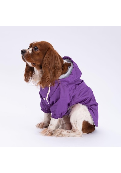 Mor Mont Köpek Mont Köpek Kıyafeti Köpek Yağmurluğu Küçük-büyük Irklar