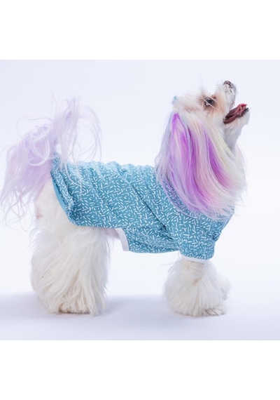 Blue-mavi Basic Kedi Köpek Sweat- Kedi Köpek Kıyafeti