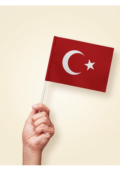 40'lı Set Çubuklu Kağıt Türk Bayrağı 12x20 Cm - 23 Nisan Kutlama Ve Süsleme Seti Tek Ebat