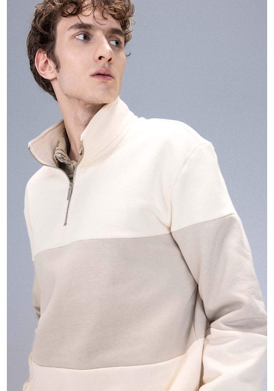 DeFacto Comfort Regular Fit Rahat Kalıp Dik Yaka Fermuarlı Çizgili Kalın Sweatshirt D2401AX24AUER42