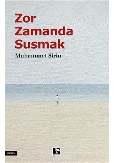 Zor Zamanda Susmak / Muhammet Şirin